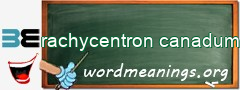 WordMeaning blackboard for rachycentron canadum